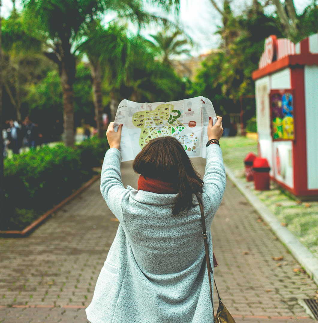 Otters Return to Delhi Zoo After 20 Years